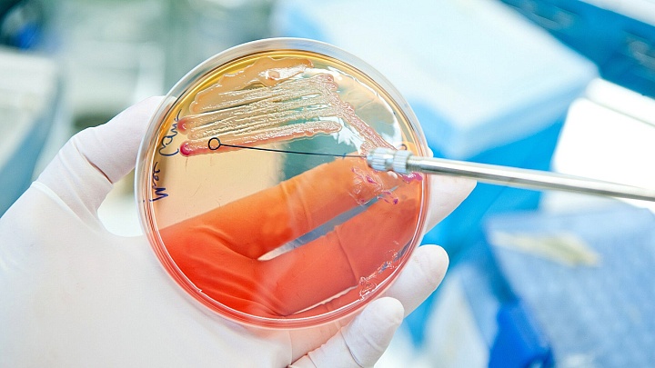 Guardian написала об ущербе от устойчивых к антибиотикам бактерий