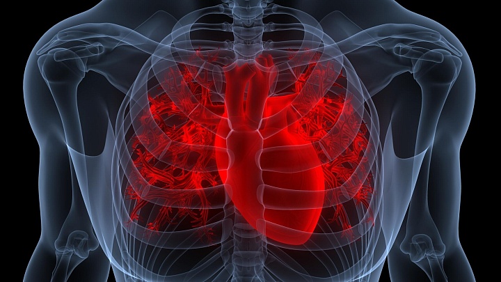 Найден способ избежать тяжелых последствий инфаркта